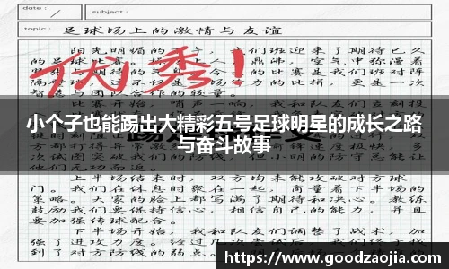 贝博·艾弗森官网入口